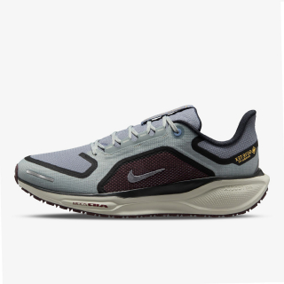 Nike AIR ZM PEGASUS 41 GTX 